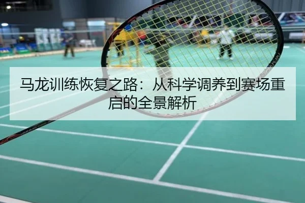 马龙训练恢复之路：从科学调养到赛场重启的全景解析
