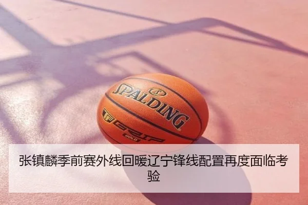 张镇麟季前赛外线回暖辽宁锋线配置再度面临考验