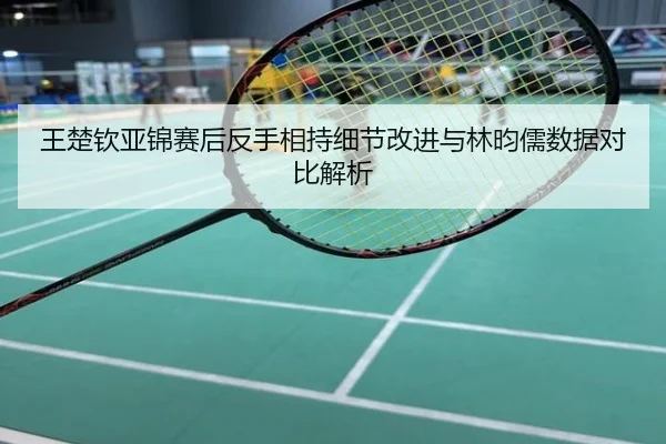 王楚钦亚锦赛后反手相持细节改进与林昀儒数据对比解析