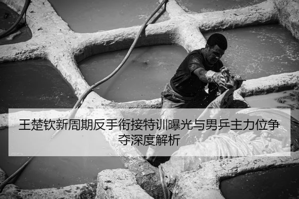王楚钦新周期反手衔接特训曝光与男乒主力位争夺深度解析
